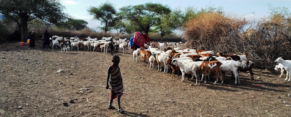 Maasai in Esilalei during a safari with Caracal Tours & Safaris in Tanzania