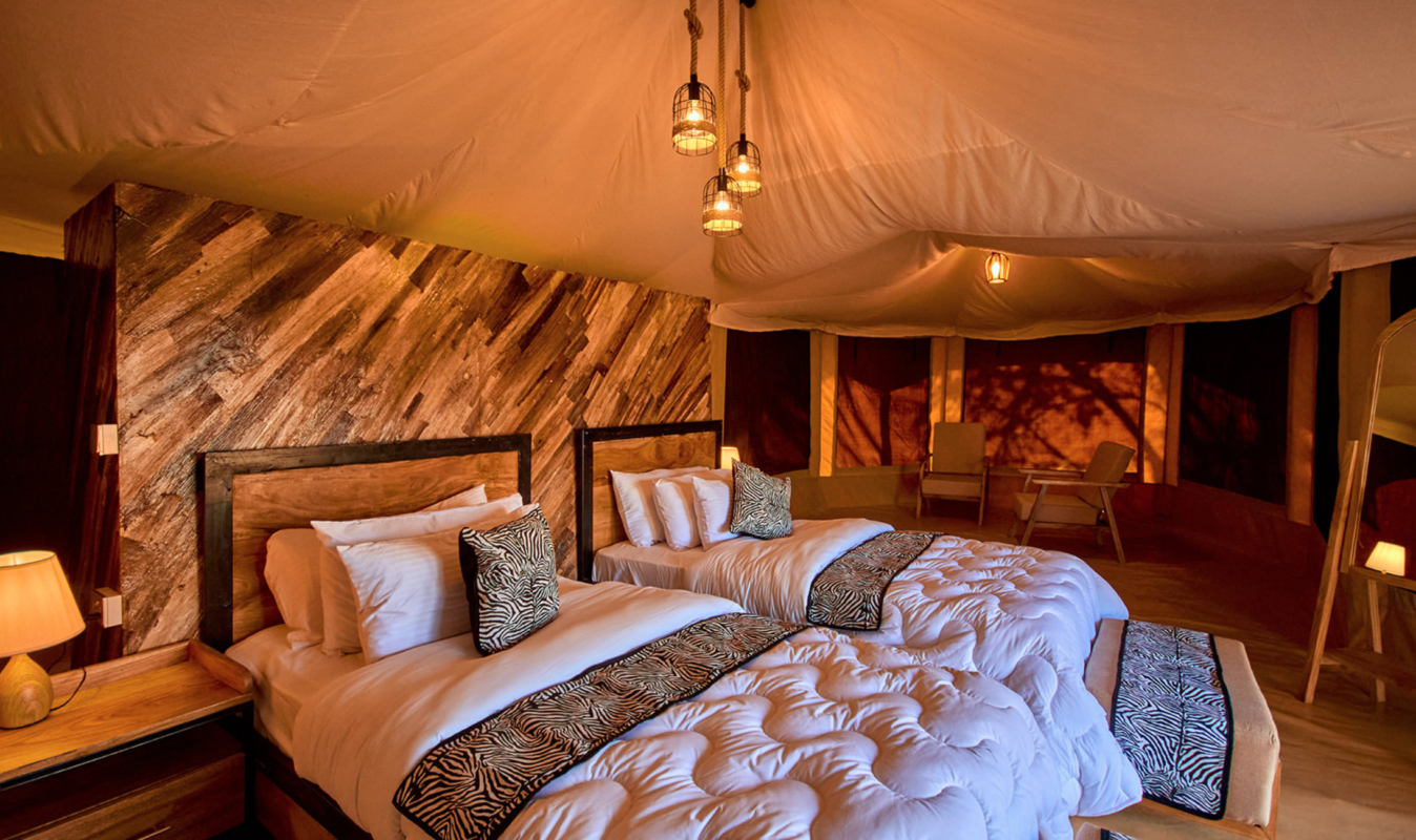 Caracal safari: Moyo Camp in Serengeeti, Tanzania