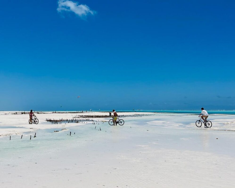 Caracal-safari-tanzania-zanzibar-bike