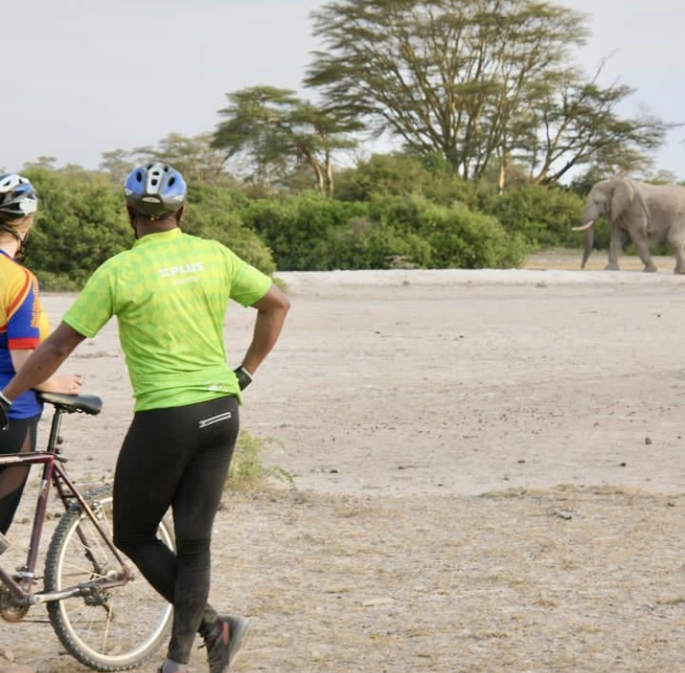 Caracal-safari-tanzania-enduimet-elephant