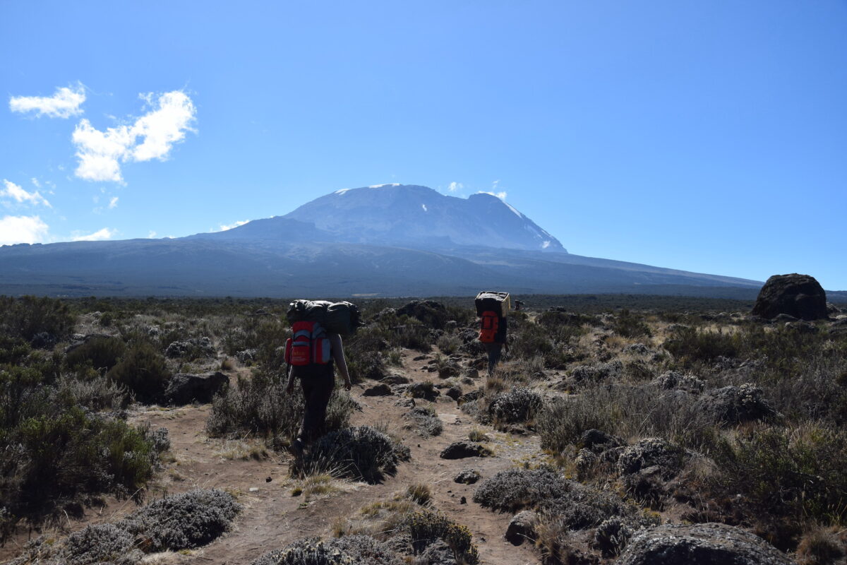 Shira on Kilimanjaro during as safari with Caracal Tours & Safaris in Tanzania