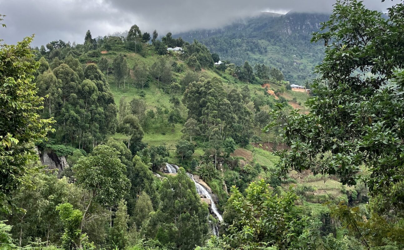Usambara Mountains during a safari with Caracal Tours & Safaris in Tanzania