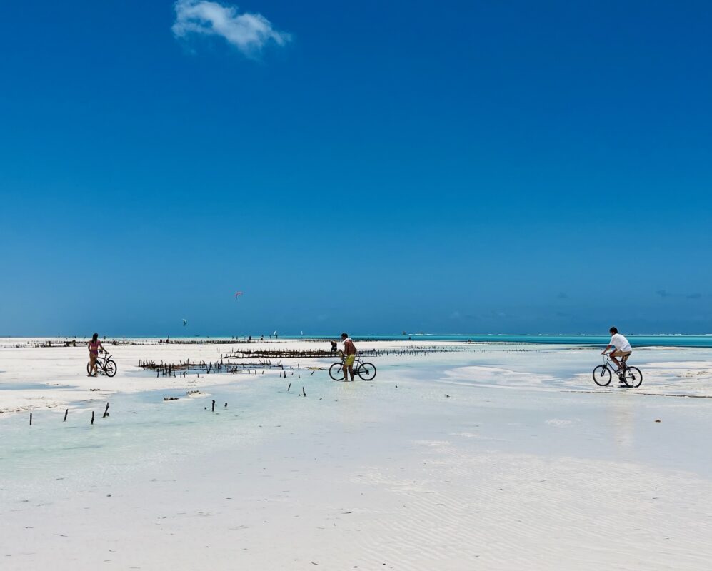 Biking safari on Zanzibar in Tanzania