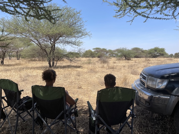 Bushbrunch with Maasai giraffes in West Kilimanjaro with Caracal Tours & Safaris