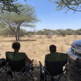 Bush brunch with Giraffe in West Kilimanjaro with Caracal Tours and Safaris, Tanzania