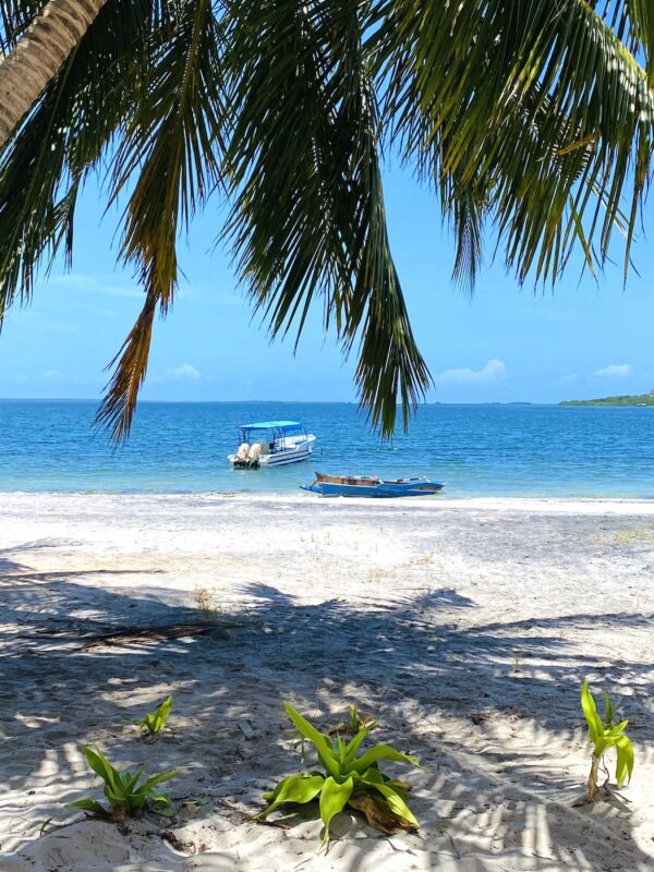 Beach on Mafia Island during a safari with Caracal Tours & Safaris Tanzania