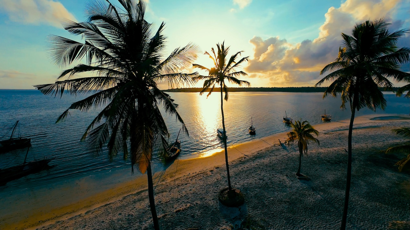 Beach on Mafia Island during a safari with Caracal Tours & Safaris Tanzania