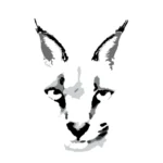 Caracal Tours and Safaris Tanzania Ltd